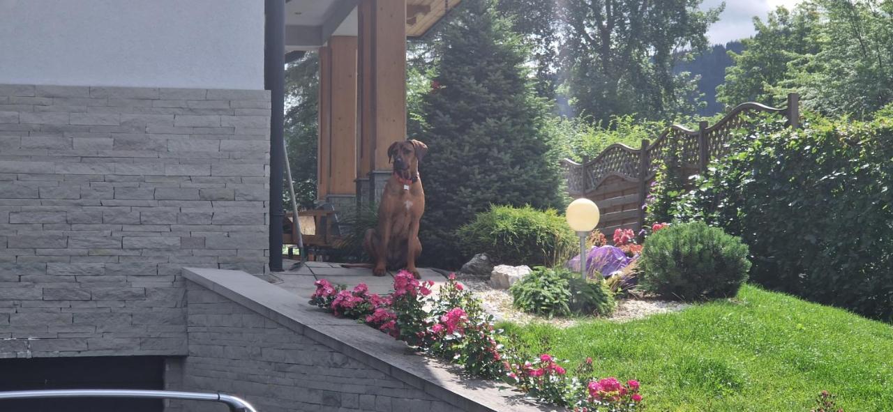 Domek Za Strugiem - Pokoje I Apartamenty Zakopane Kültér fotó